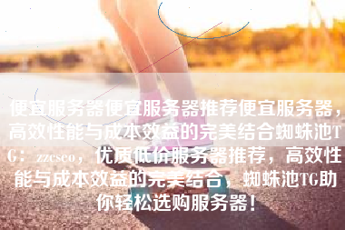 便宜服务器便宜服务器推荐便宜服务器，高效性能与成本效益的完美结合蜘蛛池TG：zzcseo，优质低价服务器推荐，高效性能与成本效益的完美结合，蜘蛛池TG助你轻松选购服务器！