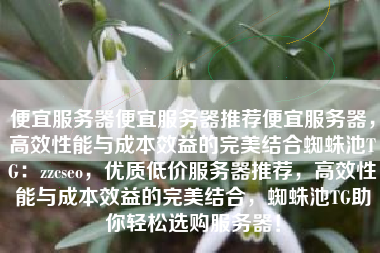 便宜服务器便宜服务器推荐便宜服务器，高效性能与成本效益的完美结合蜘蛛池TG：zzcseo，优质低价服务器推荐，高效性能与成本效益的完美结合，蜘蛛池TG助你轻松选购服务器！