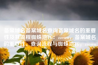 备案域名备案域名查询备案域名的重要性及其流程蜘蛛池TG：zzcseo，备案域名的重要性、查询流程与蜘蛛池TG，zzcseo
