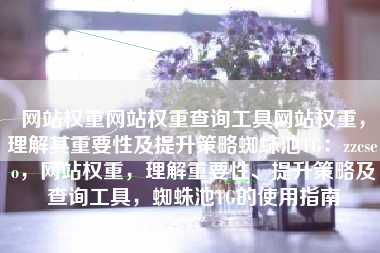网站权重网站权重查询工具网站权重，理解其重要性及提升策略蜘蛛池TG：zzcseo，网站权重，理解重要性、提升策略及查询工具，蜘蛛池TG的使用指南