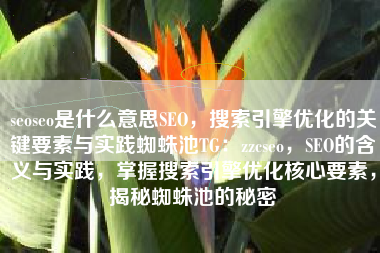 seoseo是什么意思SEO，搜索引擎优化的关键要素与实践蜘蛛池TG：zzcseo，SEO的含义与实践，掌握搜索引擎优化核心要素，揭秘蜘蛛池的秘密