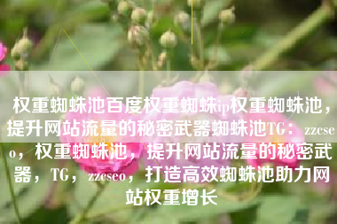 权重蜘蛛池百度权重蜘蛛ip权重蜘蛛池，提升网站流量的秘密武器蜘蛛池TG：zzcseo，权重蜘蛛池，提升网站流量的秘密武器，TG，zzcseo，打造高效蜘蛛池助力网站权重增长