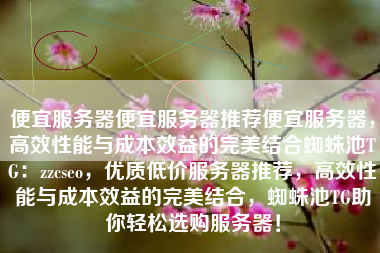 便宜服务器便宜服务器推荐便宜服务器，高效性能与成本效益的完美结合蜘蛛池TG：zzcseo，优质低价服务器推荐，高效性能与成本效益的完美结合，蜘蛛池TG助你轻松选购服务器！