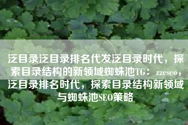 泛目录泛目录排名代发泛目录时代，探索目录结构的新领域蜘蛛池TG：zzcseo，泛目录排名时代，探索目录结构新领域与蜘蛛池SEO策略