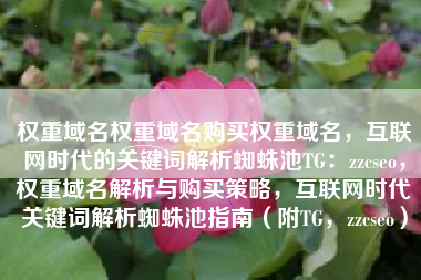 权重域名权重域名购买权重域名，互联网时代的关键词解析蜘蛛池TG：zzcseo，权重域名解析与购买策略，互联网时代关键词解析蜘蛛池指南（附TG，zzcseo）
