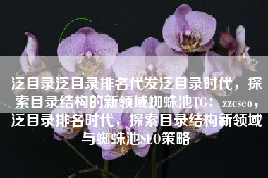 泛目录泛目录排名代发泛目录时代，探索目录结构的新领域蜘蛛池TG：zzcseo，泛目录排名时代，探索目录结构新领域与蜘蛛池SEO策略
