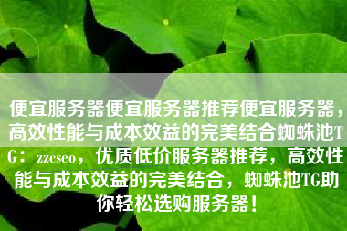 便宜服务器便宜服务器推荐便宜服务器，高效性能与成本效益的完美结合蜘蛛池TG：zzcseo，优质低价服务器推荐，高效性能与成本效益的完美结合，蜘蛛池TG助你轻松选购服务器！