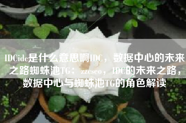 IDCidc是什么意思啊IDC，数据中心的未来之路蜘蛛池TG：zzcseo，IDC的未来之路，数据中心与蜘蛛池TG的角色解读