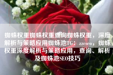 蜘蛛权重蜘蛛权重查询蜘蛛权重，深度解析与策略应用蜘蛛池TG：zzcseo，蜘蛛权重深度解析与策略应用，查询、解析及蜘蛛池SEO技巧