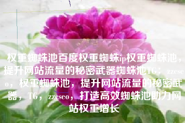 权重蜘蛛池百度权重蜘蛛ip权重蜘蛛池，提升网站流量的秘密武器蜘蛛池TG：zzcseo，权重蜘蛛池，提升网站流量的秘密武器，TG，zzcseo，打造高效蜘蛛池助力网站权重增长