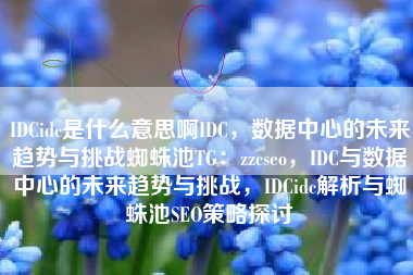 IDCidc是什么意思啊IDC，数据中心的未来趋势与挑战蜘蛛池TG：zzcseo，IDC与数据中心的未来趋势与挑战，IDCidc解析与蜘蛛池SEO策略探讨