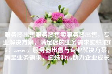服务器出售服务器售卖服务器出售，专业解决方案，满足您的业务需求蜘蛛池TG：zzcseo，服务器出售与专业解决方案，满足业务需求，蜘蛛池TG助力企业成长