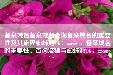 备案域名备案域名查询备案域名的重要性及其流程蜘蛛池TG：zzcseo，备案域名的重要性、查询流程与蜘蛛池TG，zzcseo