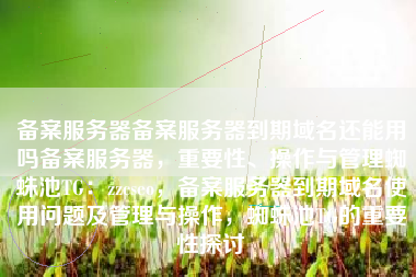 备案服务器备案服务器到期域名还能用吗备案服务器，重要性、操作与管理蜘蛛池TG：zzcseo，备案服务器到期域名使用问题及管理与操作，蜘蛛池TG的重要性探讨