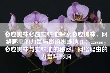 必应蜘蛛必应蜘蛛池探索必应蜘蛛，网络爬虫的力量与影响蜘蛛池TG：zzcseo，必应蜘蛛与蜘蛛池的秘密，网络爬虫的力量与影响