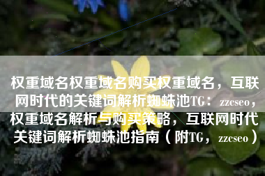 权重域名权重域名购买权重域名，互联网时代的关键词解析蜘蛛池TG：zzcseo，权重域名解析与购买策略，互联网时代关键词解析蜘蛛池指南（附TG，zzcseo）
