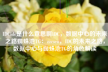 IDCidc是什么意思啊IDC，数据中心的未来之路蜘蛛池TG：zzcseo，IDC的未来之路，数据中心与蜘蛛池TG的角色解读