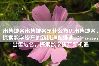 出售域名出售域名是什么意思出售域名，探索数字资产的新机遇蜘蛛池TG：zzcseo，出售域名，探索数字资产新机遇