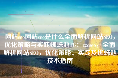 网站seo网站seo是什么全面解析网站SEO，优化策略与实践蜘蛛池TG：zzcseo，全面解析网站SEO，优化策略、实践及蜘蛛池技术指南