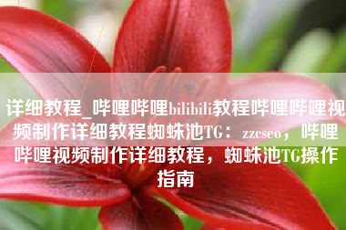 详细教程_哔哩哔哩bilibili教程哔哩哔哩视频制作详细教程蜘蛛池TG：zzcseo，哔哩哔哩视频制作详细教程，蜘蛛池TG操作指南