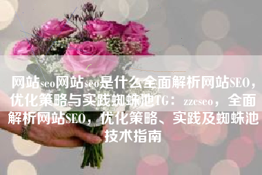 网站seo网站seo是什么全面解析网站SEO，优化策略与实践蜘蛛池TG：zzcseo，全面解析网站SEO，优化策略、实践及蜘蛛池技术指南