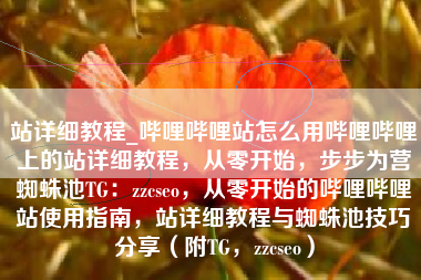 站详细教程_哔哩哔哩站怎么用哔哩哔哩上的站详细教程，从零开始，步步为营蜘蛛池TG：zzcseo，从零开始的哔哩哔哩站使用指南，站详细教程与蜘蛛池技巧分享（附TG，zzcseo）
