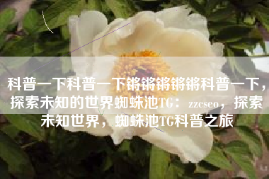 科普一下科普一下锵锵锵锵锵科普一下，探索未知的世界蜘蛛池TG：zzcseo，探索未知世界，蜘蛛池TG科普之旅
