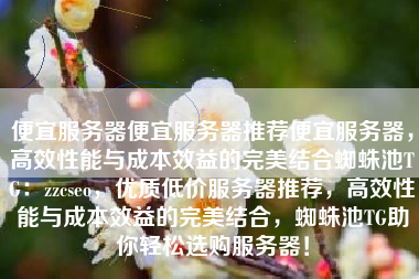 便宜服务器便宜服务器推荐便宜服务器，高效性能与成本效益的完美结合蜘蛛池TG：zzcseo，优质低价服务器推荐，高效性能与成本效益的完美结合，蜘蛛池TG助你轻松选购服务器！