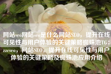 网站seo网站seo是什么网站SEO，提升在线可见性与用户体验的关键策略蜘蛛池TG：zzcseo，网站SEO，提升在线可见性与用户体验的关键策略及蜘蛛池应用介绍