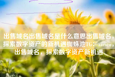 出售域名出售域名是什么意思出售域名，探索数字资产的新机遇蜘蛛池TG：zzcseo，出售域名，探索数字资产新机遇