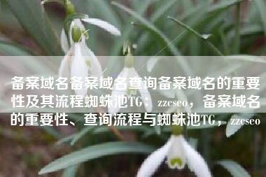 备案域名备案域名查询备案域名的重要性及其流程蜘蛛池TG：zzcseo，备案域名的重要性、查询流程与蜘蛛池TG，zzcseo