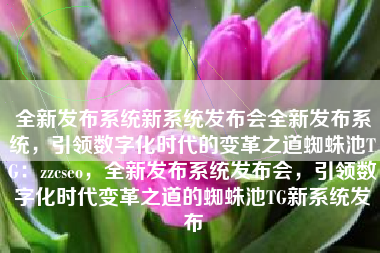 全新发布系统新系统发布会全新发布系统，引领数字化时代的变革之道蜘蛛池TG：zzcseo，全新发布系统发布会，引领数字化时代变革之道的蜘蛛池TG新系统发布