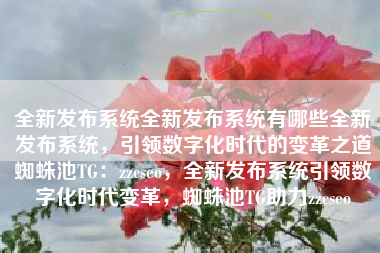 全新发布系统全新发布系统有哪些全新发布系统，引领数字化时代的变革之道蜘蛛池TG：zzcseo，全新发布系统引领数字化时代变革，蜘蛛池TG助力zzcseo