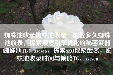 蜘蛛池收录蜘蛛池收录一般要多久蜘蛛池收录，探索搜索引擎优化的秘密武器蜘蛛池TG：zzcseo，探索SEO秘密武器，蜘蛛池收录时间与策略TG，zzcseo