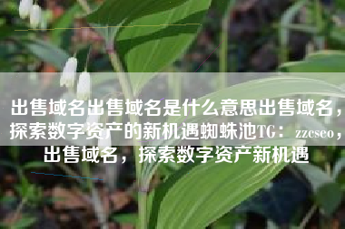 出售域名出售域名是什么意思出售域名，探索数字资产的新机遇蜘蛛池TG：zzcseo，出售域名，探索数字资产新机遇