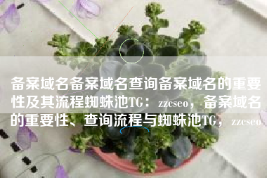 备案域名备案域名查询备案域名的重要性及其流程蜘蛛池TG：zzcseo，备案域名的重要性、查询流程与蜘蛛池TG，zzcseo