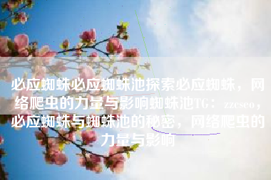 必应蜘蛛必应蜘蛛池探索必应蜘蛛，网络爬虫的力量与影响蜘蛛池TG：zzcseo，必应蜘蛛与蜘蛛池的秘密，网络爬虫的力量与影响