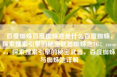 百度蜘蛛百度蜘蛛池是什么百度蜘蛛，探索搜索引擎的秘密武器蜘蛛池TG：zzcseo，探索搜索引擎的秘密武器，百度蜘蛛与蜘蛛池详解