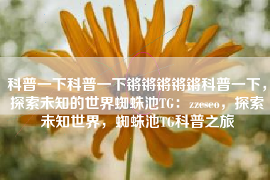 科普一下科普一下锵锵锵锵锵科普一下，探索未知的世界蜘蛛池TG：zzcseo，探索未知世界，蜘蛛池TG科普之旅