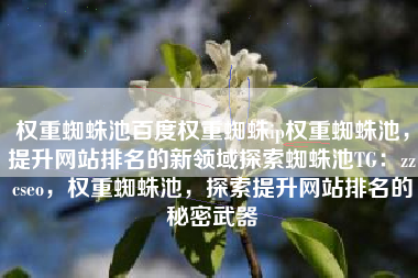 权重蜘蛛池百度权重蜘蛛ip权重蜘蛛池，提升网站排名的新领域探索蜘蛛池TG：zzcseo，权重蜘蛛池，探索提升网站排名的秘密武器