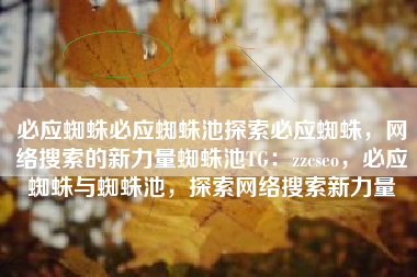 必应蜘蛛必应蜘蛛池探索必应蜘蛛，网络搜索的新力量蜘蛛池TG：zzcseo，必应蜘蛛与蜘蛛池，探索网络搜索新力量