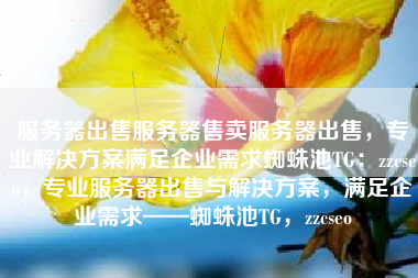 服务器出售服务器售卖服务器出售，专业解决方案满足企业需求蜘蛛池TG：zzcseo，专业服务器出售与解决方案，满足企业需求——蜘蛛池TG，zzcseo