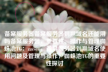 备案服务器备案服务器到期域名还能用吗备案服务器，重要性、操作与管理蜘蛛池TG：zzcseo，备案服务器到期域名使用问题及管理与操作，蜘蛛池TG的重要性探讨