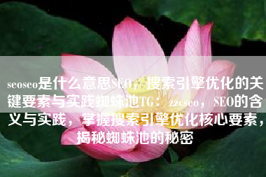 seoseo是什么意思SEO，搜索引擎优化的关键要素与实践蜘蛛池TG：zzcseo，SEO的含义与实践，掌握搜索引擎优化核心要素，揭秘蜘蛛池的秘密