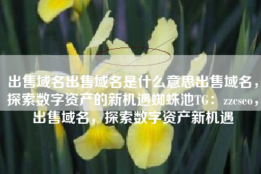 出售域名出售域名是什么意思出售域名，探索数字资产的新机遇蜘蛛池TG：zzcseo，出售域名，探索数字资产新机遇