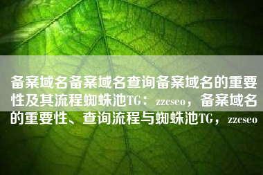 备案域名备案域名查询备案域名的重要性及其流程蜘蛛池TG：zzcseo，备案域名的重要性、查询流程与蜘蛛池TG，zzcseo