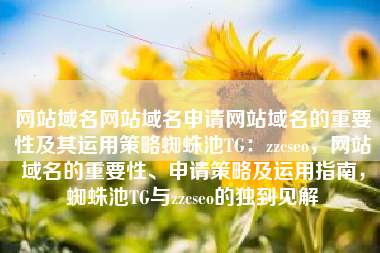网站域名网站域名申请网站域名的重要性及其运用策略蜘蛛池TG：zzcseo，网站域名的重要性、申请策略及运用指南，蜘蛛池TG与zzcseo的独到见解