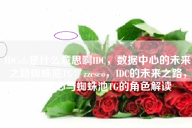 IDCidc是什么意思啊IDC，数据中心的未来之路蜘蛛池TG：zzcseo，IDC的未来之路，数据中心与蜘蛛池TG的角色解读