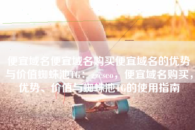 便宜域名便宜域名购买便宜域名的优势与价值蜘蛛池TG：zzcseo，便宜域名购买，优势、价值与蜘蛛池TG的使用指南