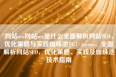 网站seo网站seo是什么全面解析网站SEO，优化策略与实践蜘蛛池TG：zzcseo，全面解析网站SEO，优化策略、实践及蜘蛛池技术指南